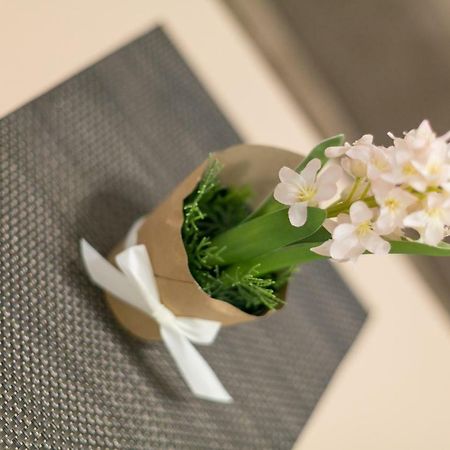 בלגרד Apartment Dositejeva 13 מראה חיצוני תמונה